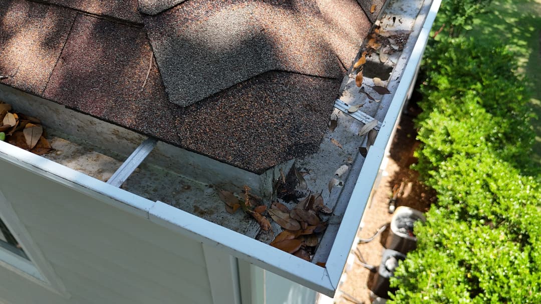 Close-up of a roof gutter filled with leaves and debris, highlighting the need for cleaning.