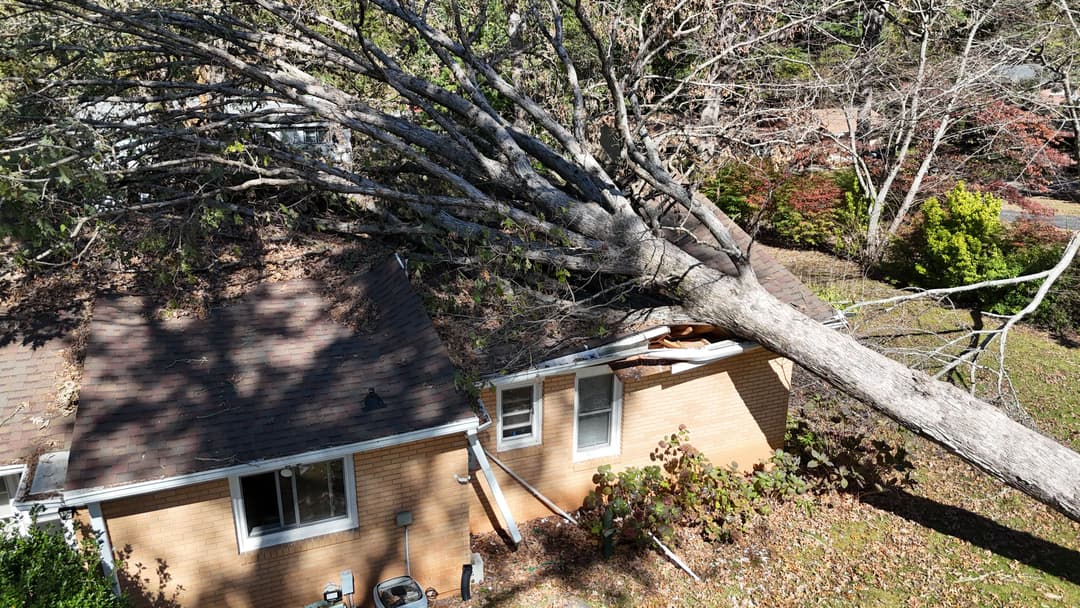 Tree fallen on a house, causing significant roof damage and debris in the yard.