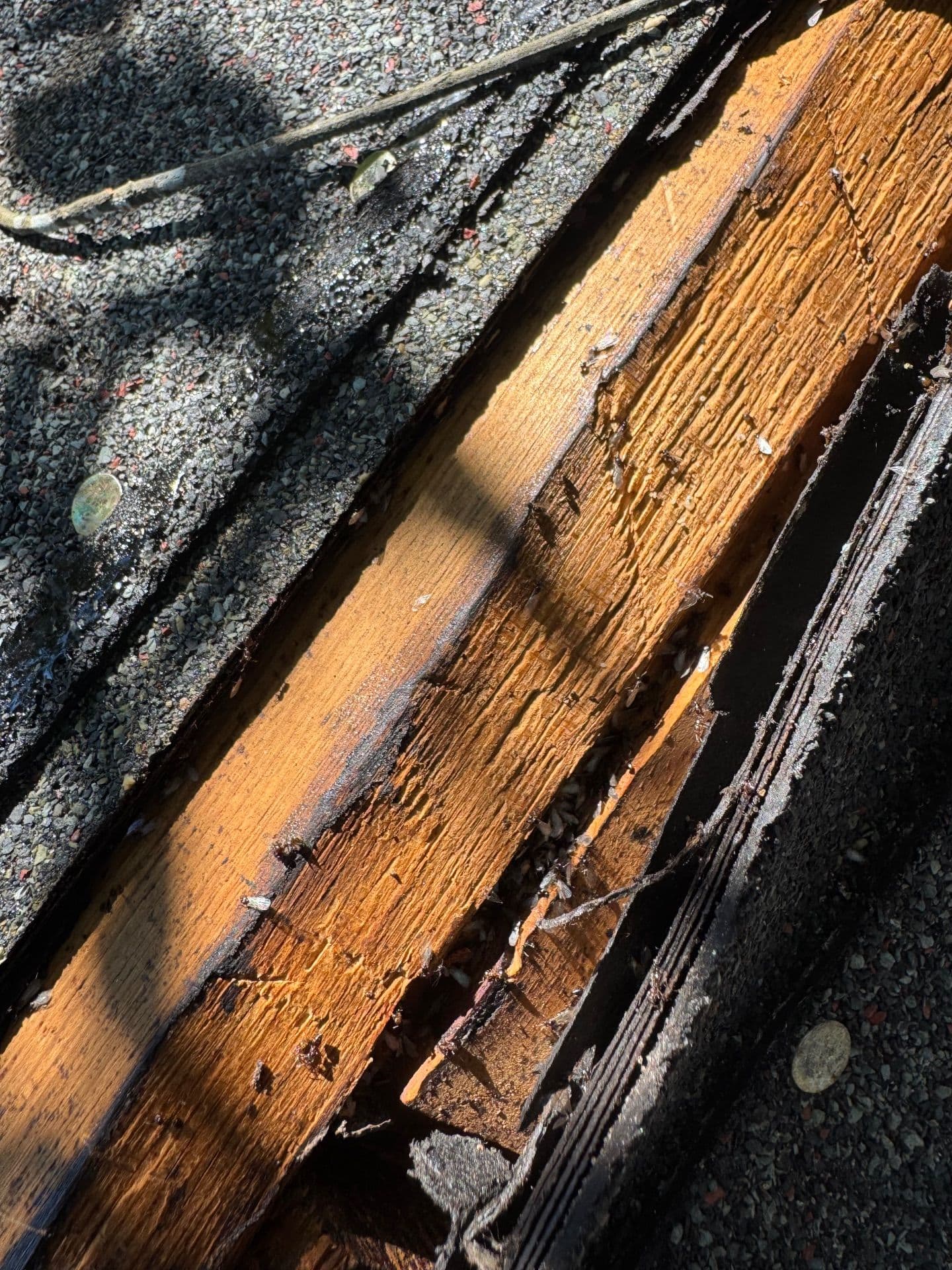 Gallery photos for Enhancing Home Ventilation in Downtown Wilmington: Image #3