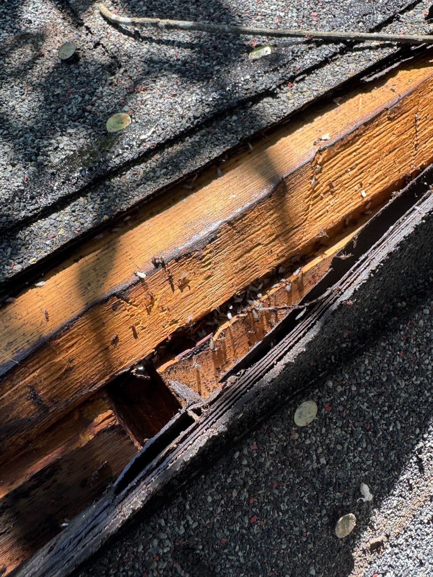 Gallery photos for Enhancing Home Ventilation in Downtown Wilmington: Image #7