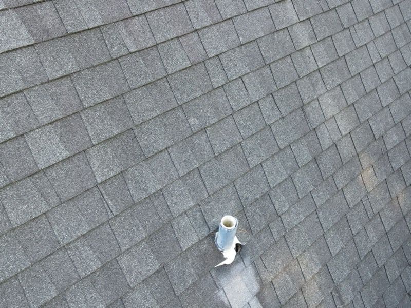 Protect Your Home from Roof Leaks and Squirrel Damage image