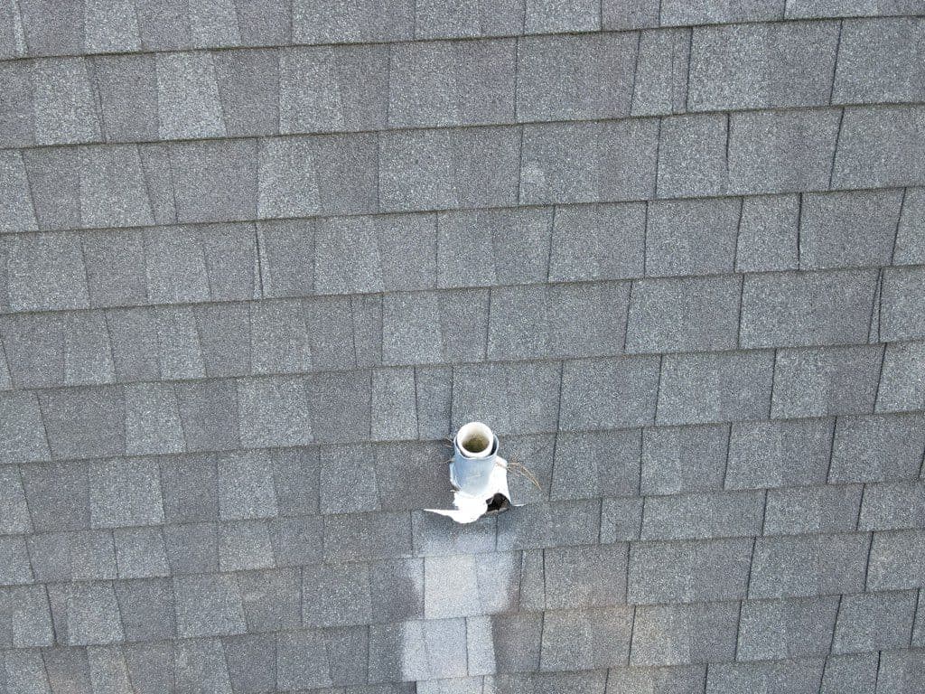 Gallery photos for Protect Your Home from Roof Leaks and Squirrel Damage: Image #1