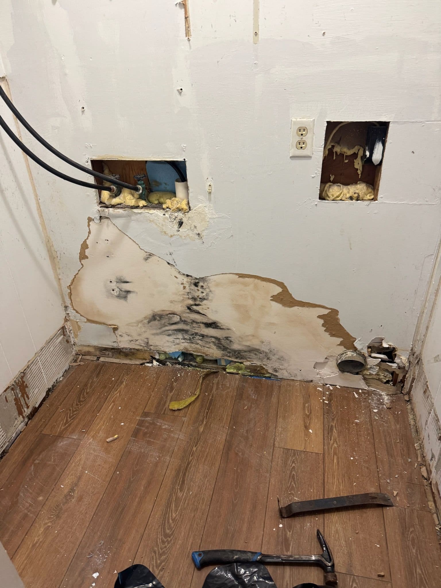 Comprehensive Mold and Water Damage Solution image