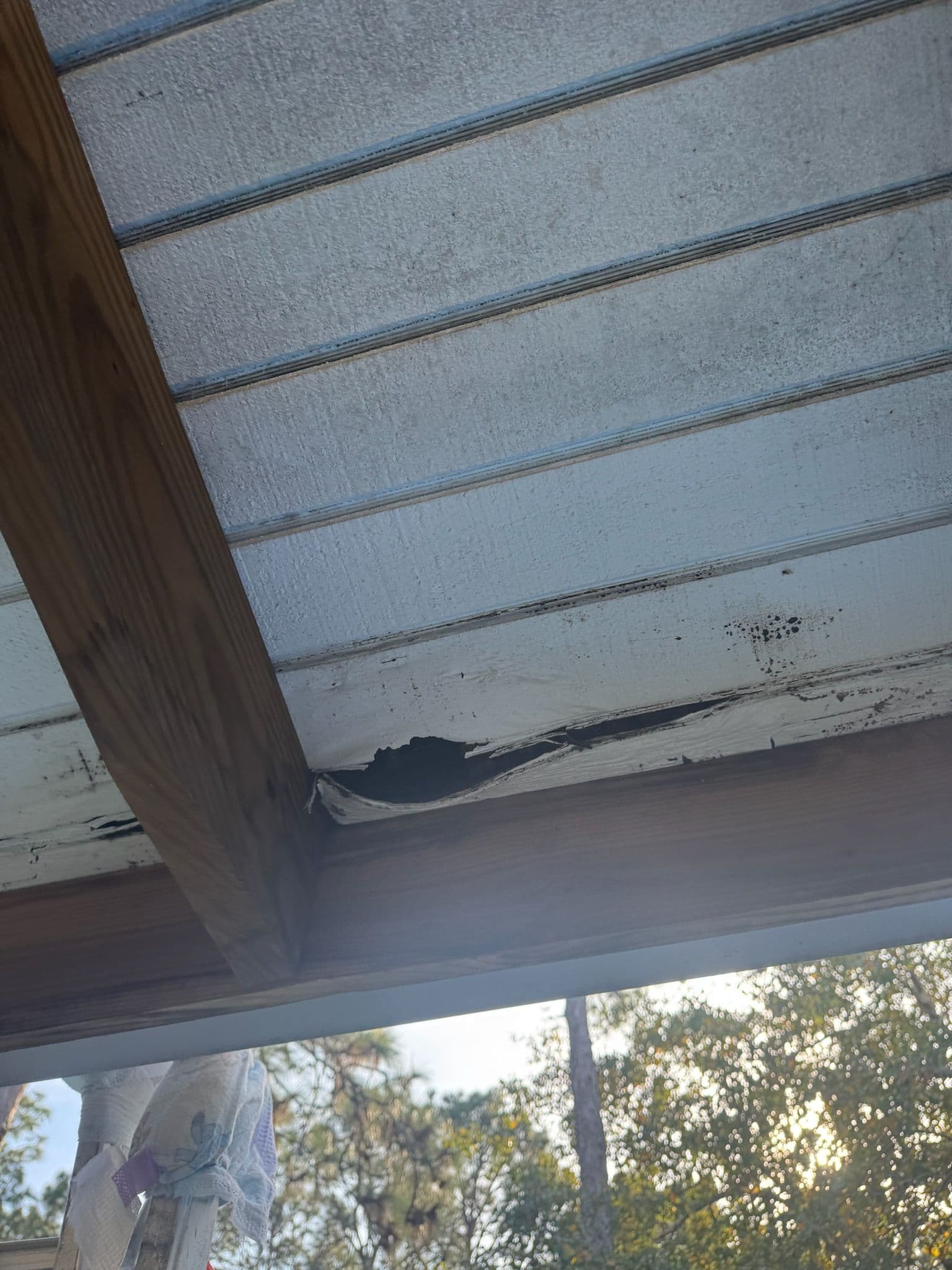 Project Roof Leak Detection and Repair image